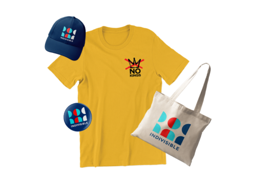 image showing the various merch available in the indivisible store. a hate, button, bag, and t-shirt.