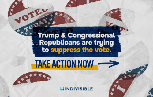 vote today ** trump & congressional republicans are trying to suppress the vote. take action now → indivisible