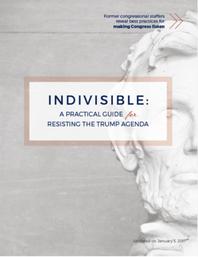 Original Indivisible Guide cover