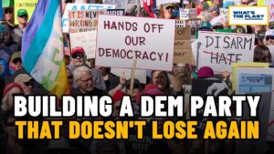 Building a Democratic Party that doesn't lose again 