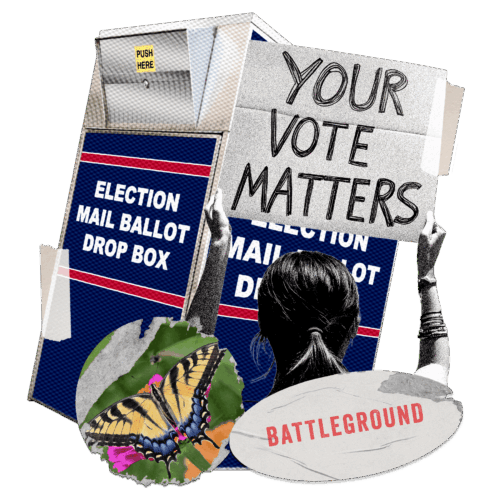 Battlegrounds North Carolina Election Box Your Vote Matters