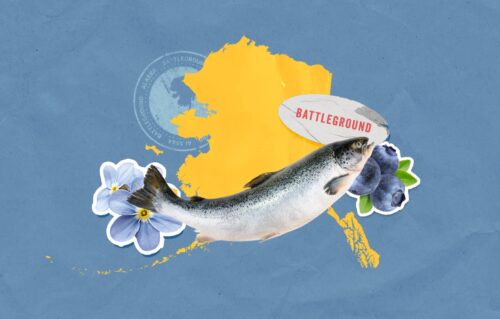 Battlegrounds Alaska