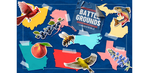 Battlegrounds all states: Alaska, Georgia, Iowa, Michigan, North Carolina, Ohio, Texas